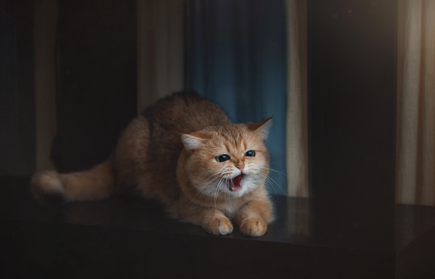 Вне настроения