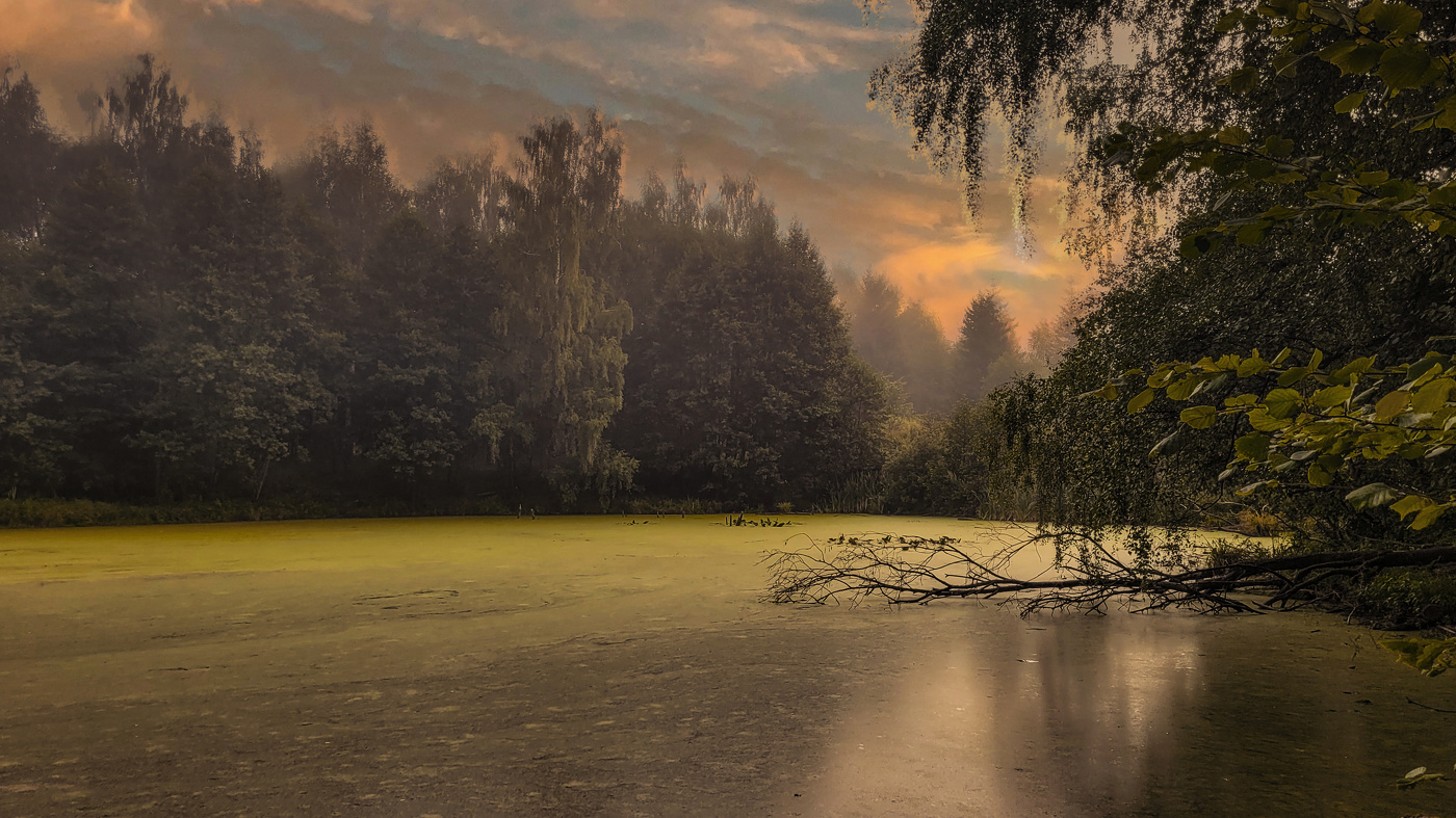 Утро прохладное,раннее.