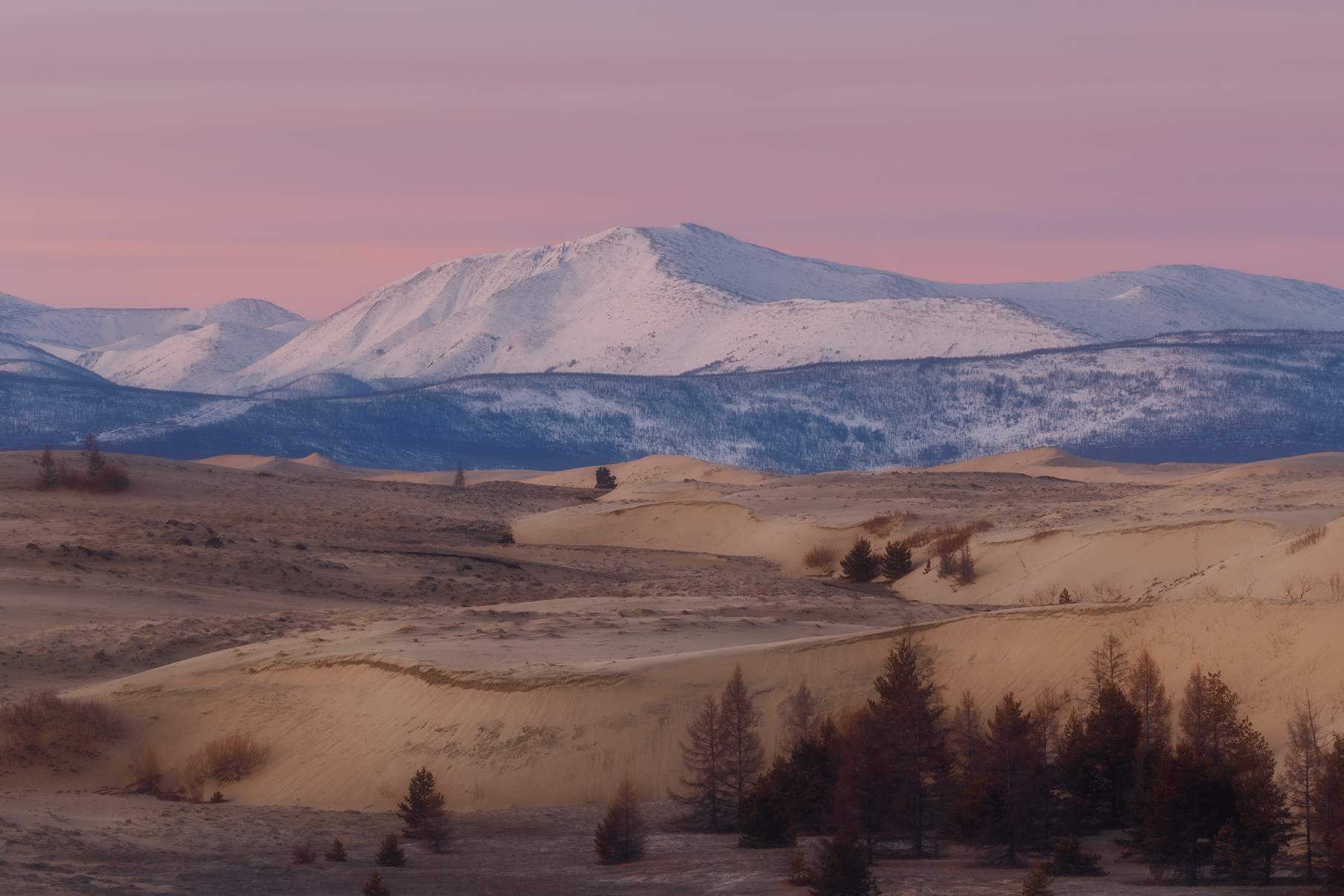 С добрым утром, пустыня!