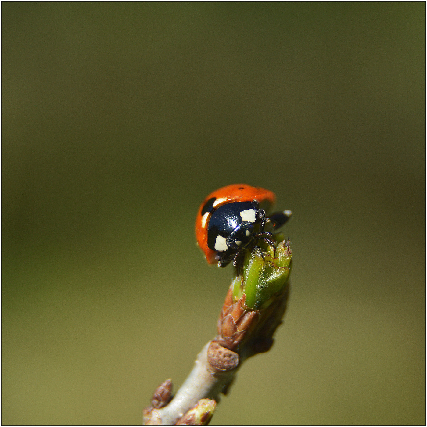 Игра света.
