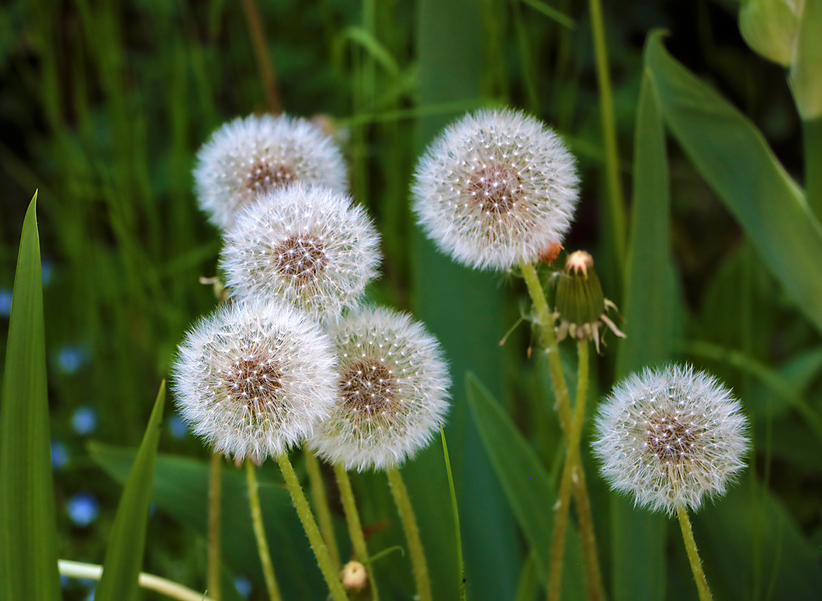 Вот-вот разлетятся...