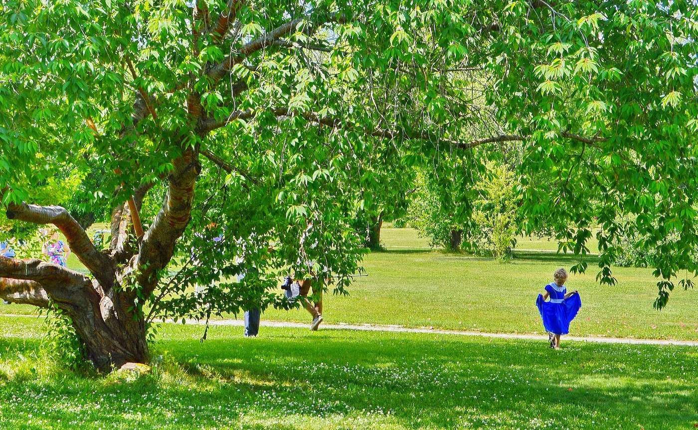 весна в парке