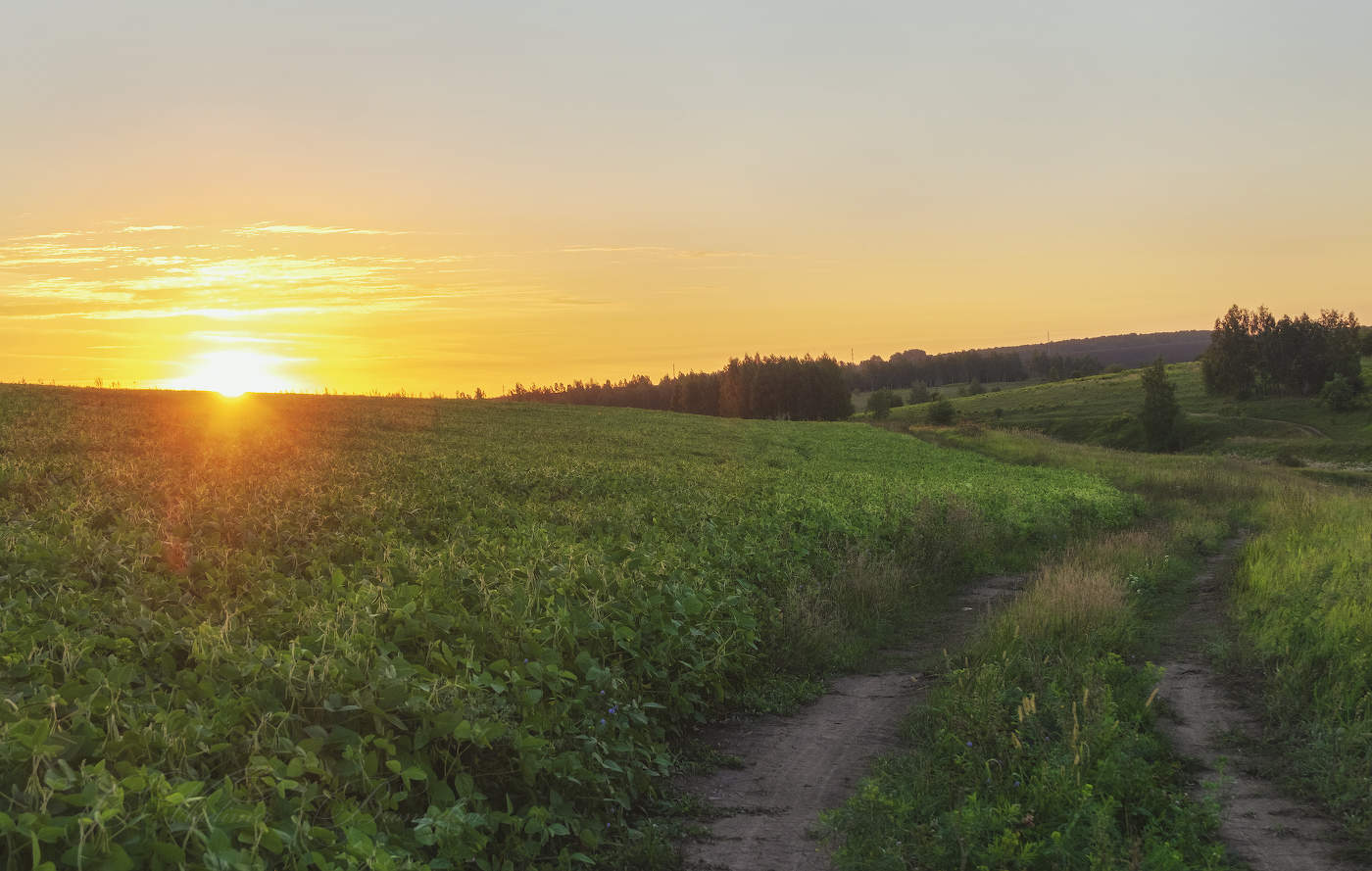 Навстречу солнцу