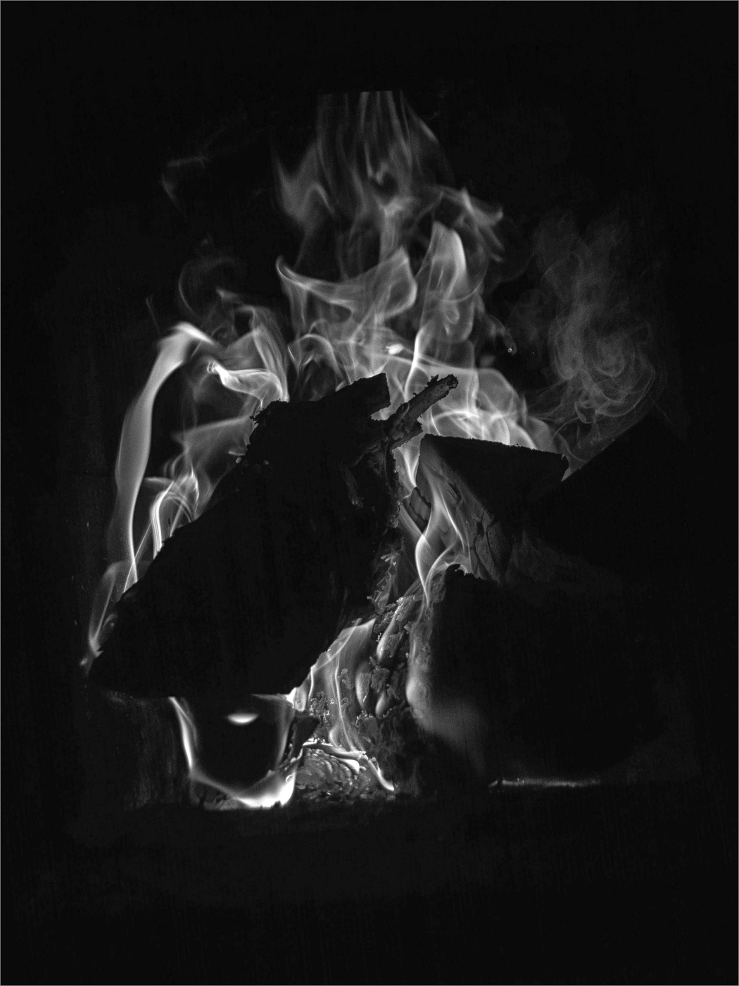 Жизнь вокруг