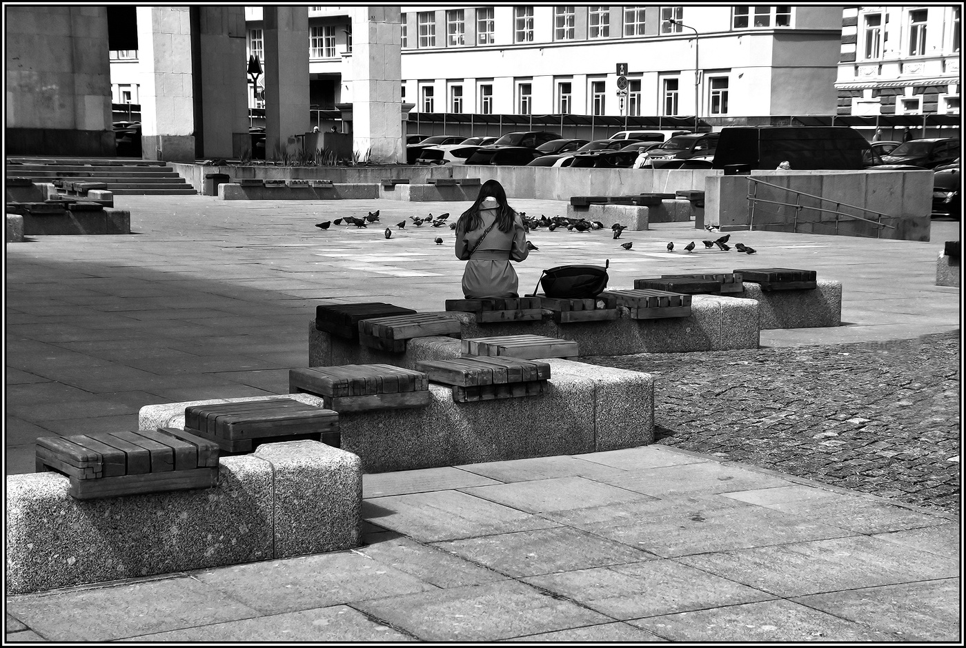 ... "Бетонные джунгли" .....