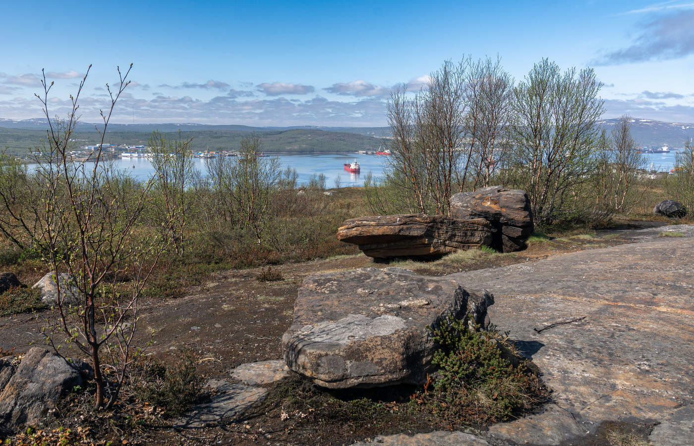 июньские сопки