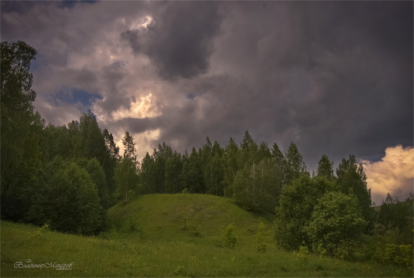 "Эти летние дожди"©