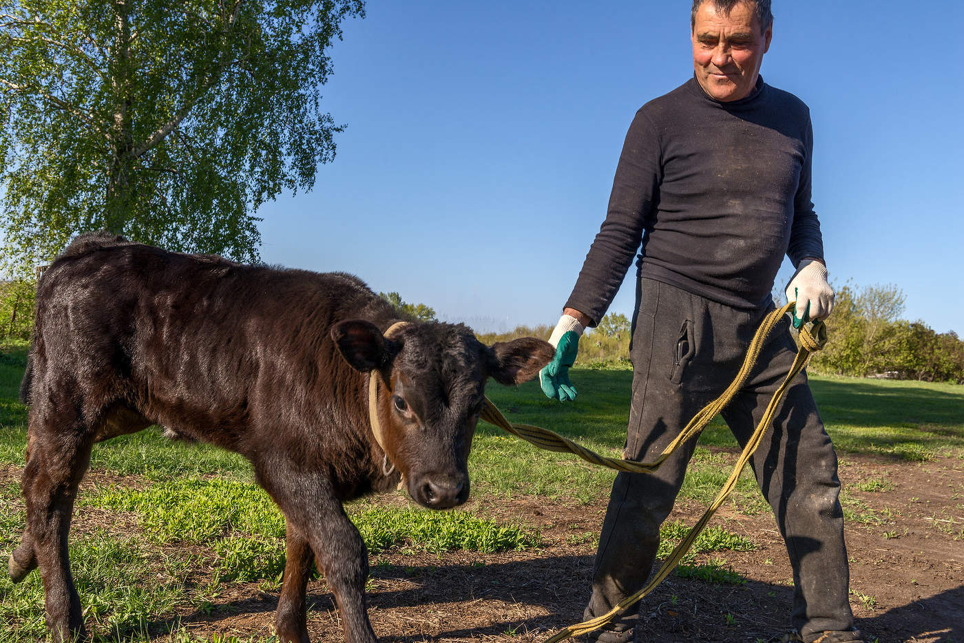 Сельская зарисовка...