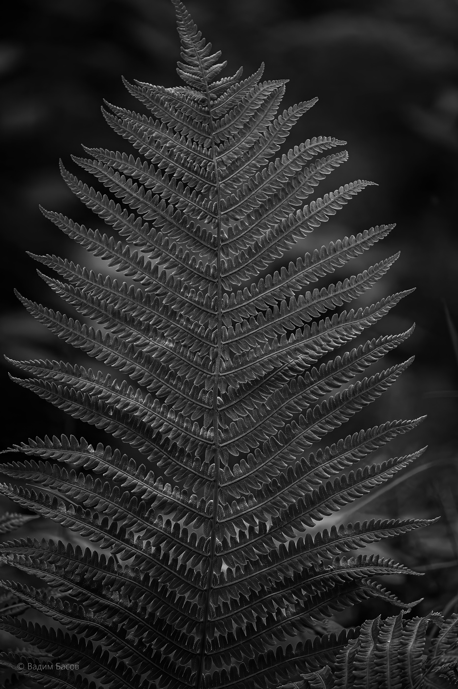 Сложное из простого...