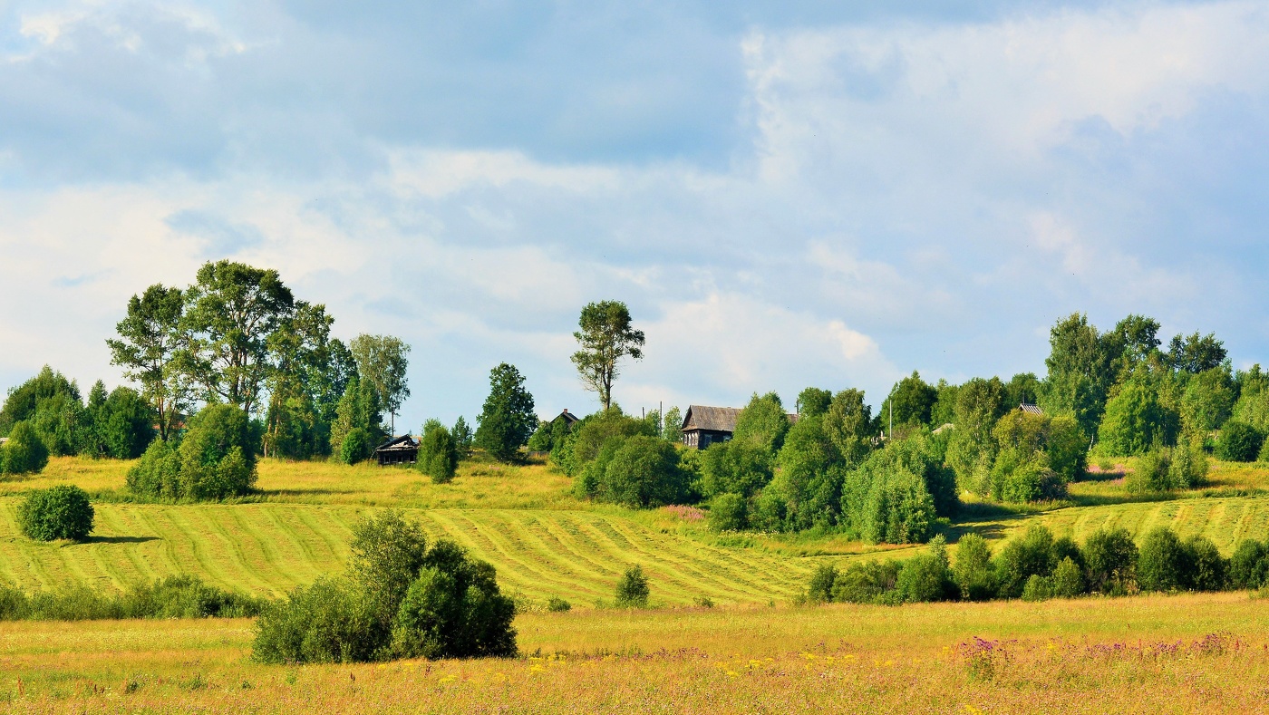 "Вот моя деревня, вот мой дом родной ..."