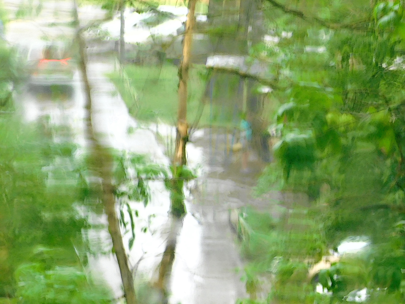 Летние ливни