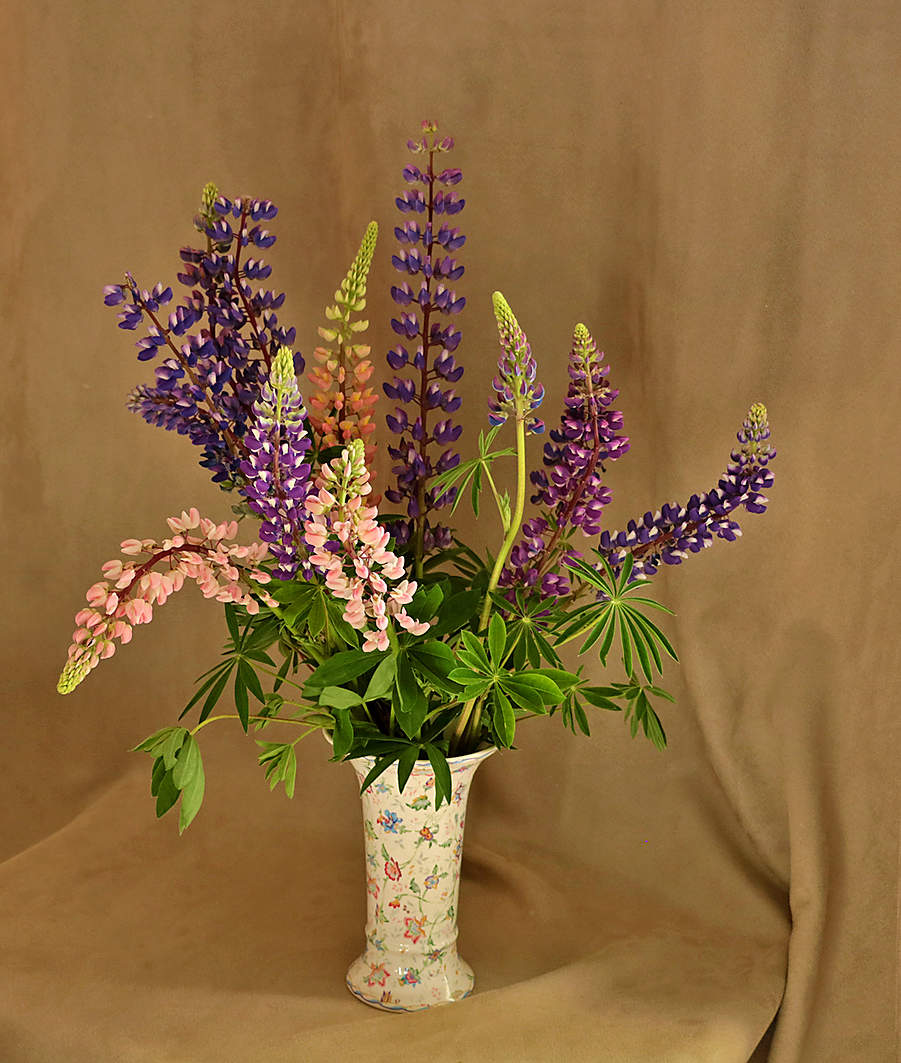 Букет люпинов