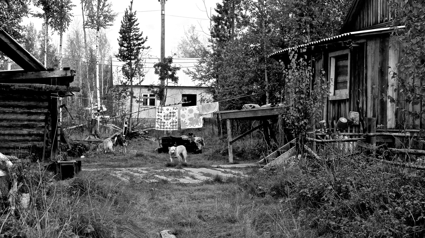 В любом дворе — добрейший пёс!