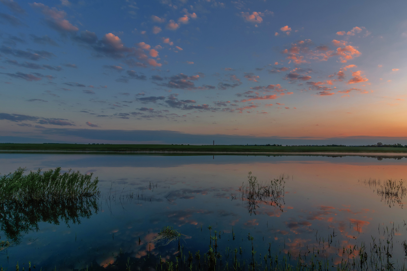 нежный рассвет