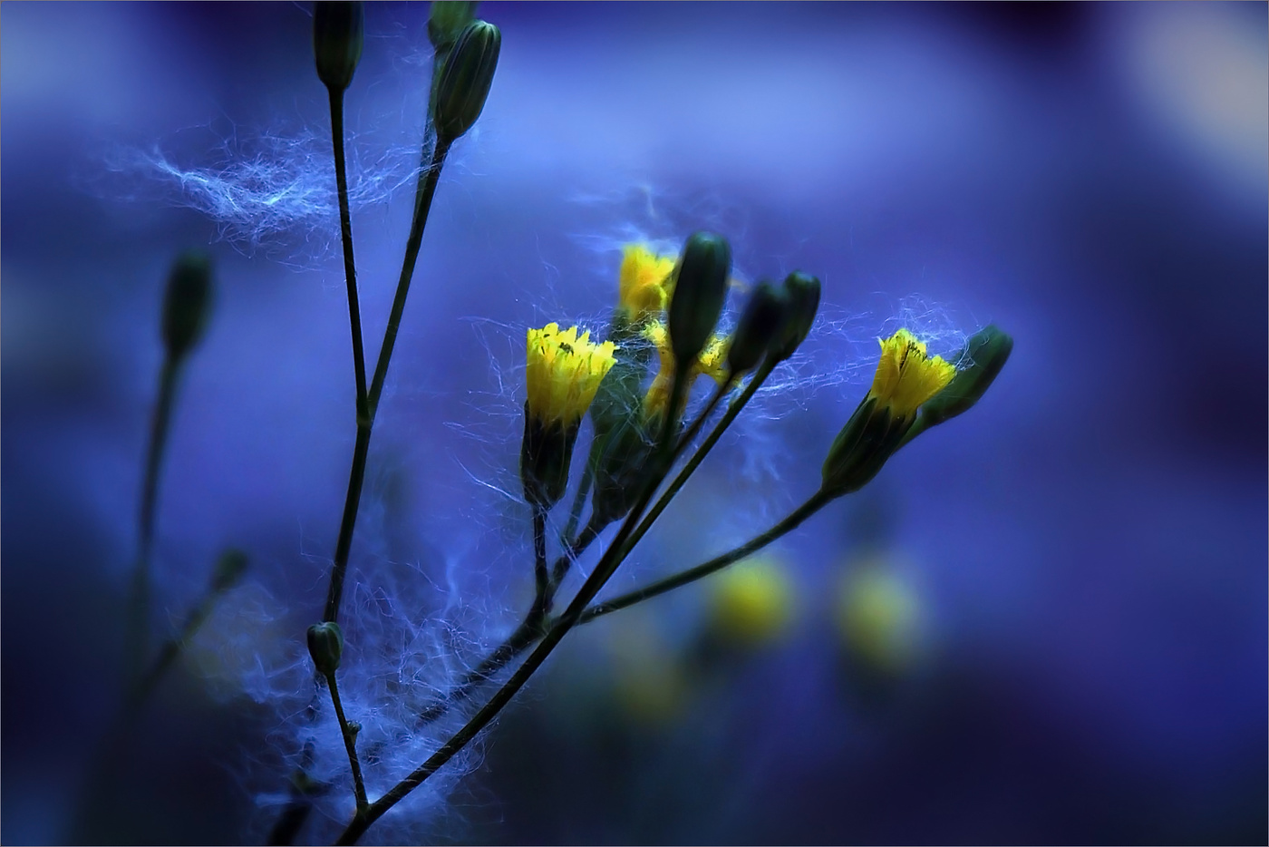 Мимолётные отношения