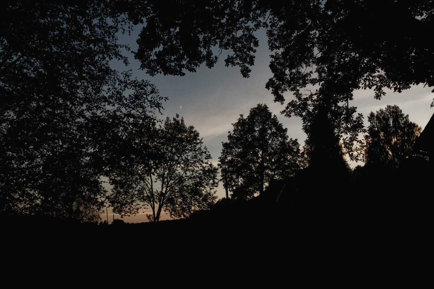 Жизнь вокруг