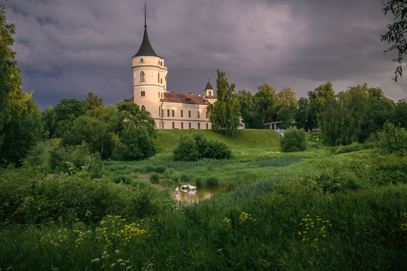 Замок БИП и гуси.