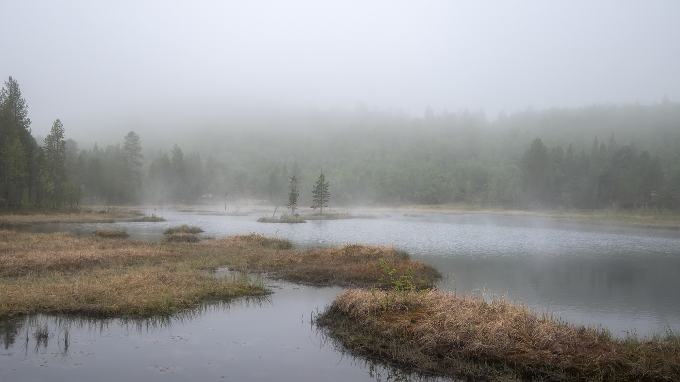 Июньская ночь