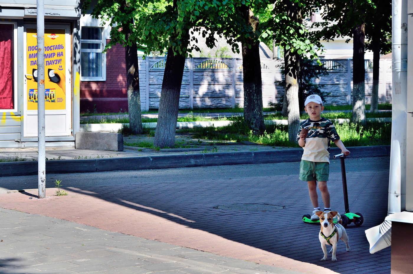 Мальчик и собака