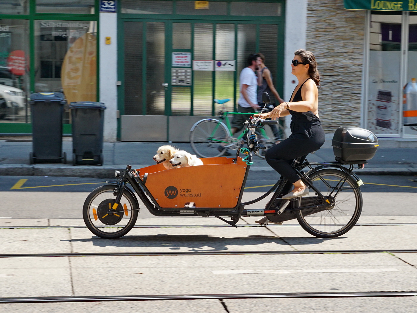 На прогулке