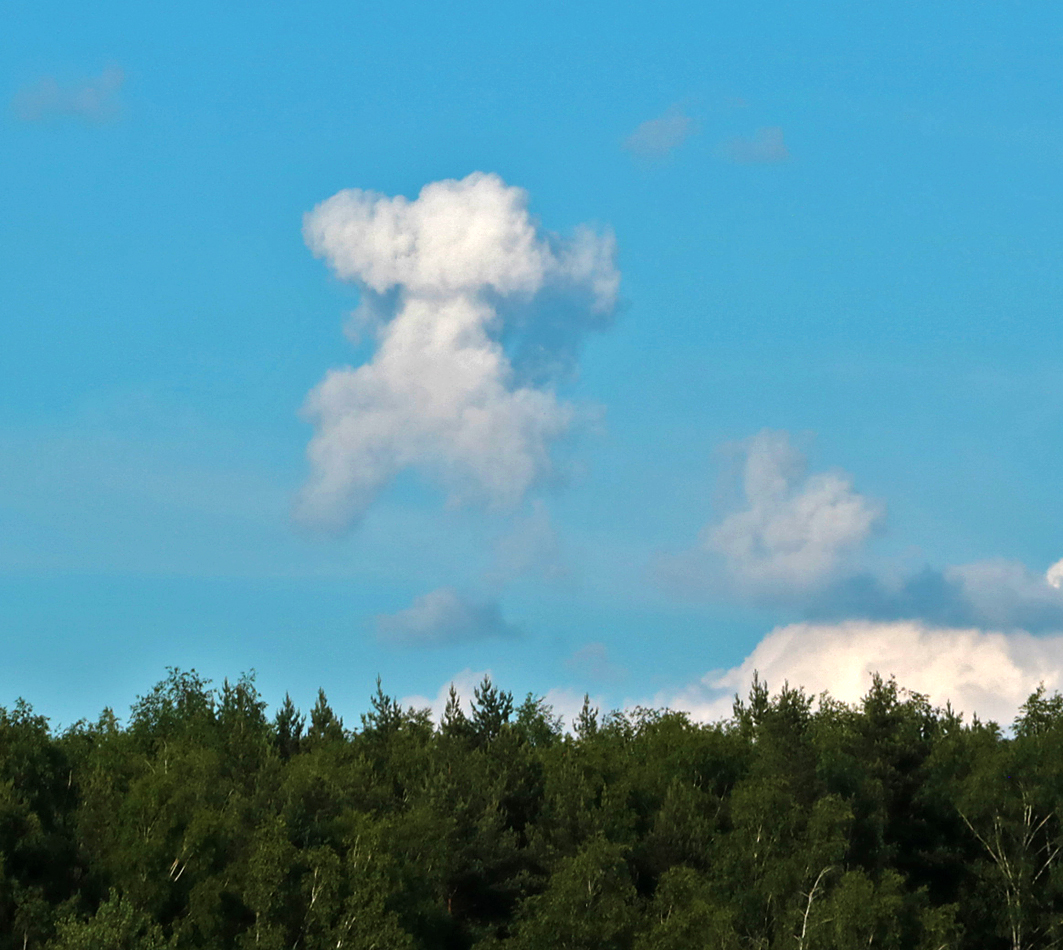 Чебурашка по небу бежит