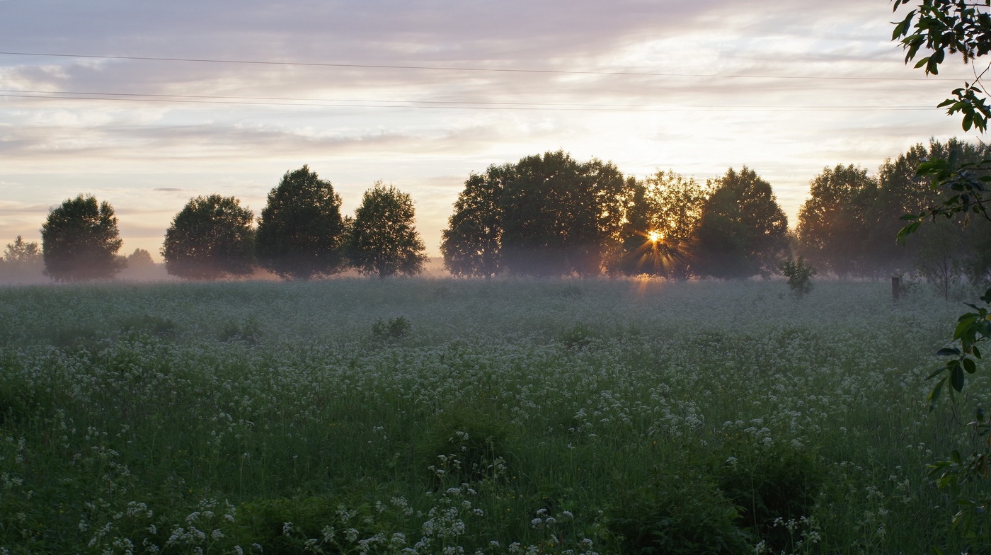 Сегодня в Карелии