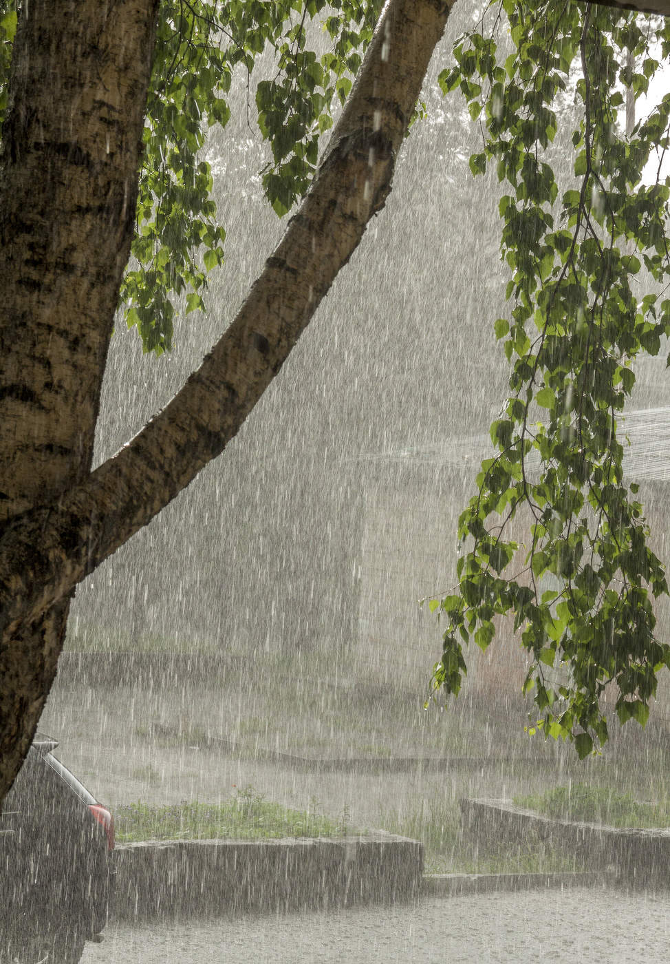 А у нас во дворе...