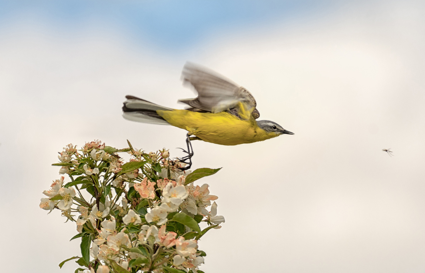 Тоже охотник!