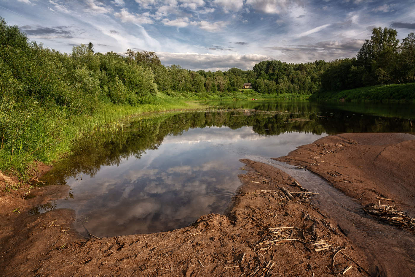 Жизнь вокруг