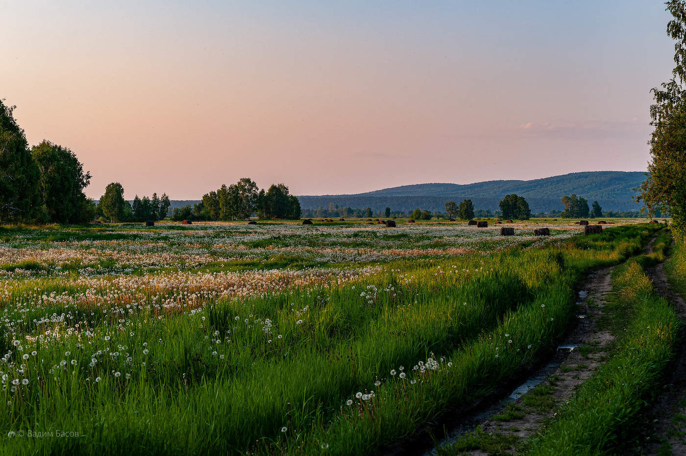 Летний вечер...