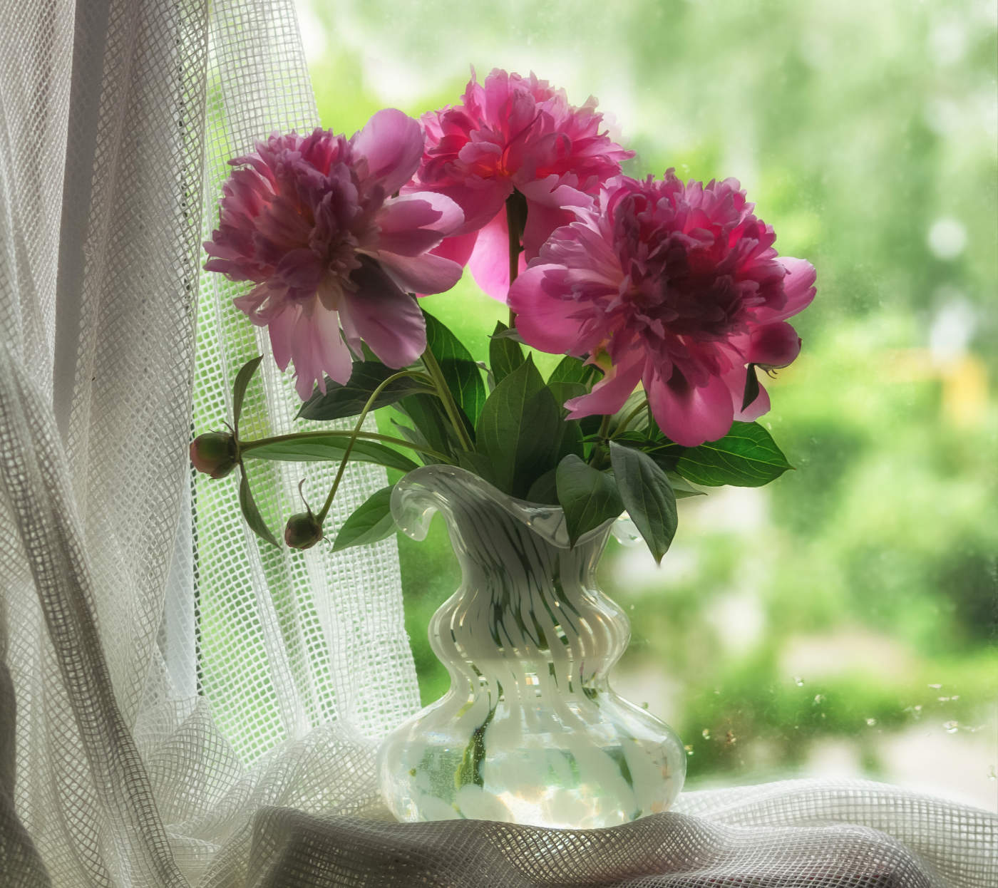 Пионы...весны продолженье....