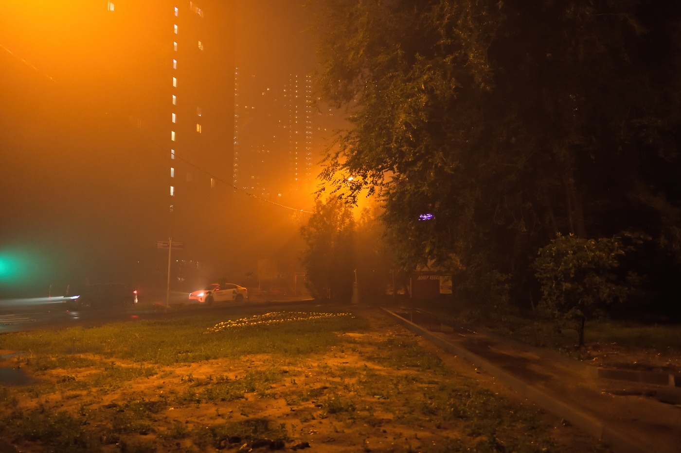 Москва после урагана (2)