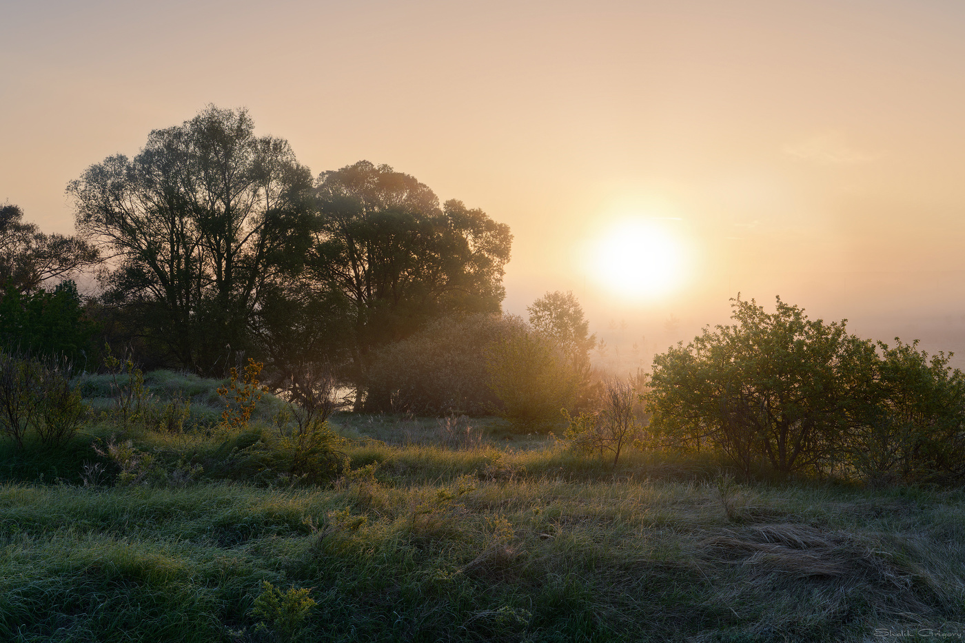 Солнце сквозь туман