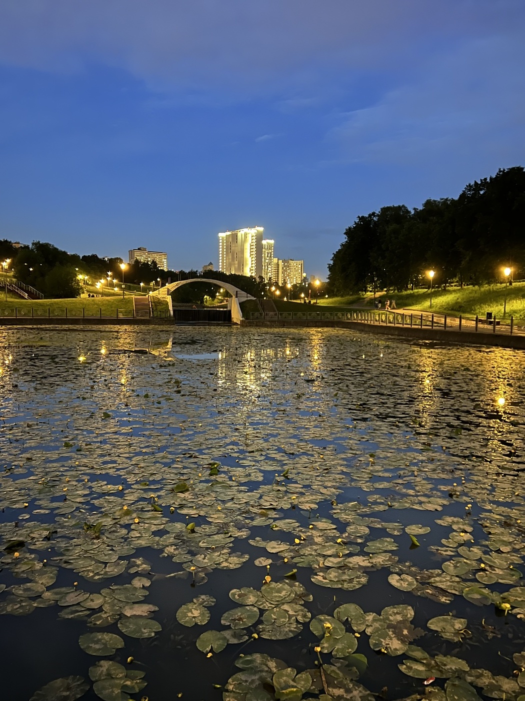 Вечер в московском парке