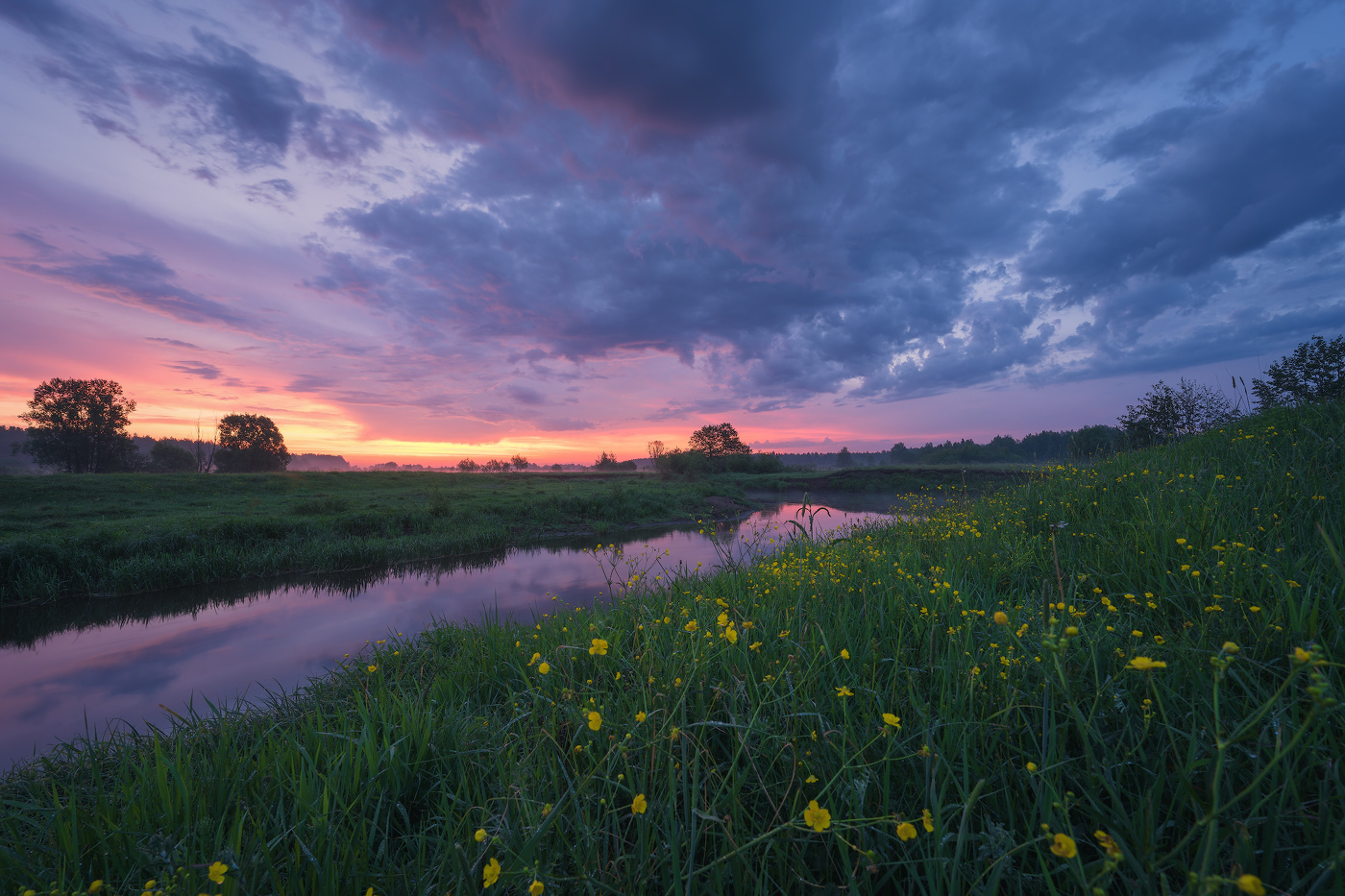 Летним утром