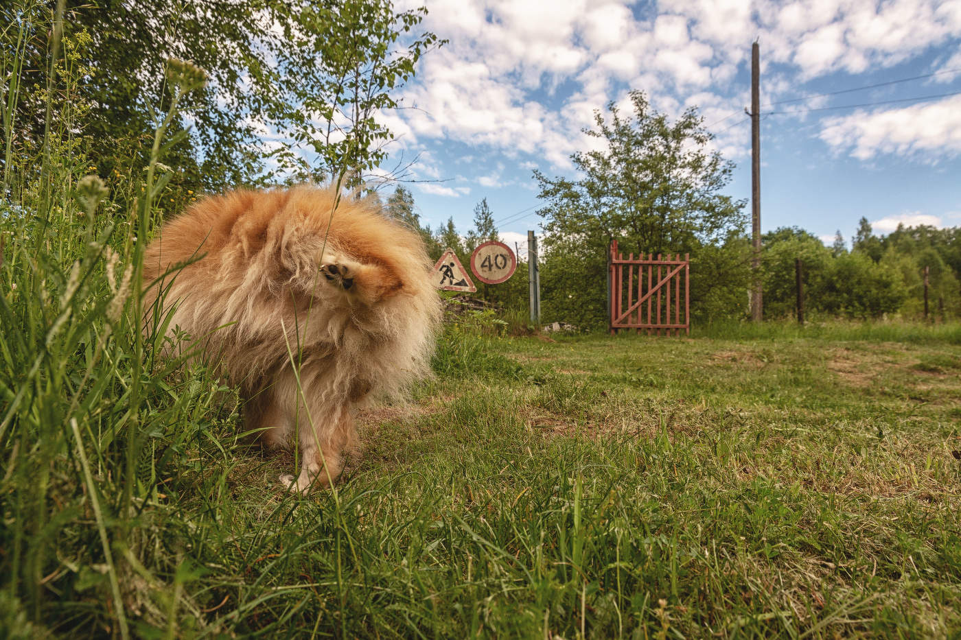 Жизнь вокруг