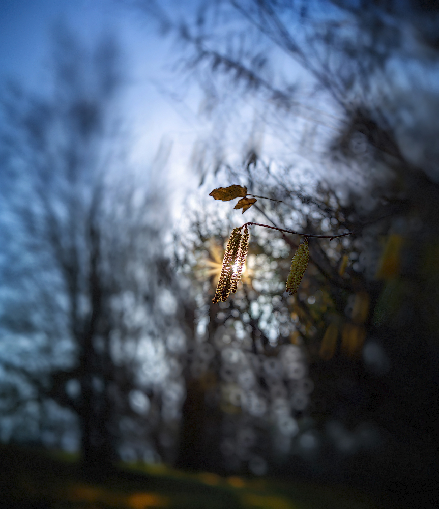 Весенний звоночек