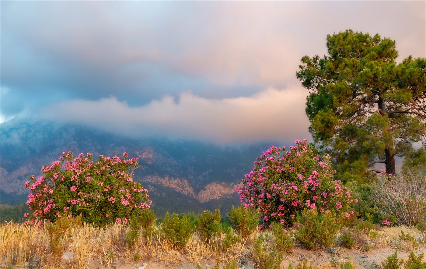 В ДОЛИНАХ СУМРАК ЕЩЕ ДРЕМЛЕТ...
