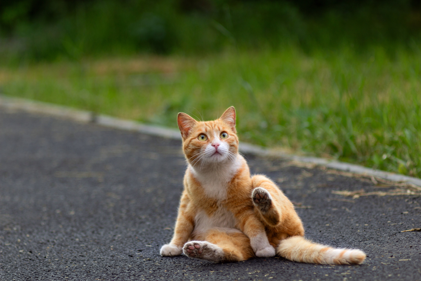 "Позишен намбер ту"