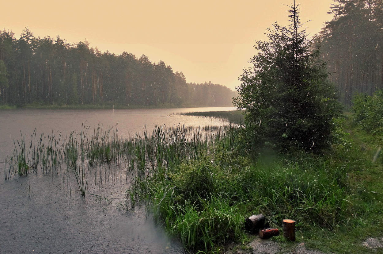 Слепой дождь летом
