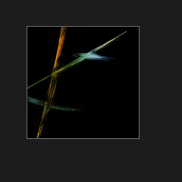 Трава на реке