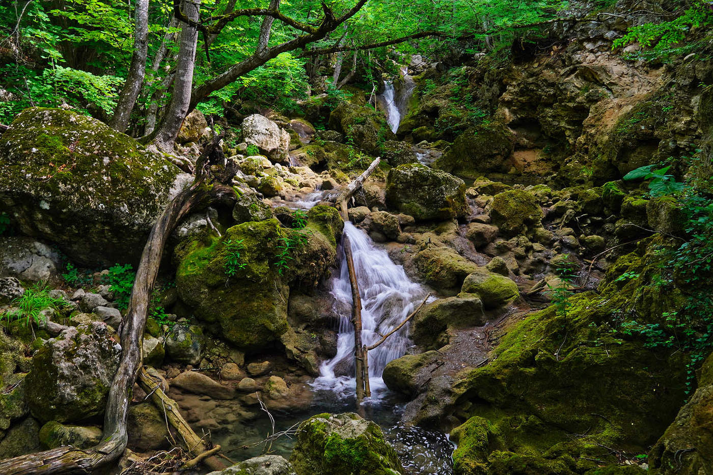 Июнь в Кизилкобинском ущелье