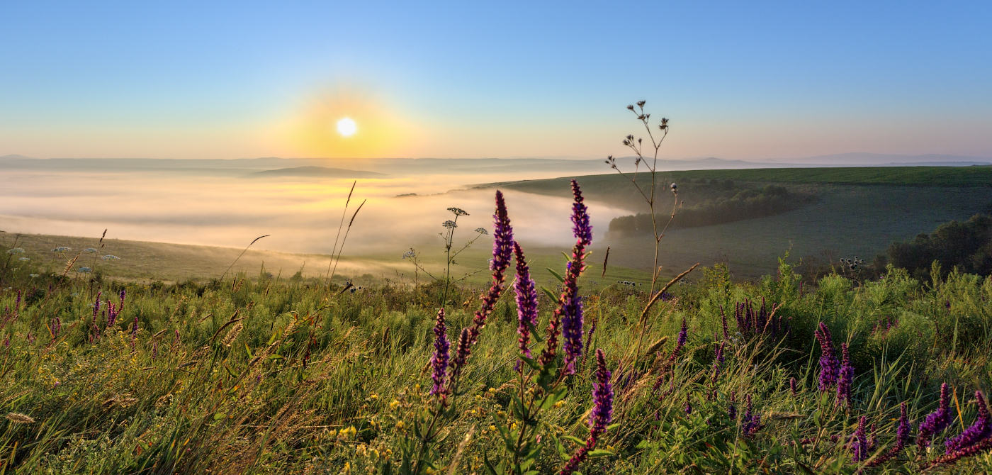 На рассвете