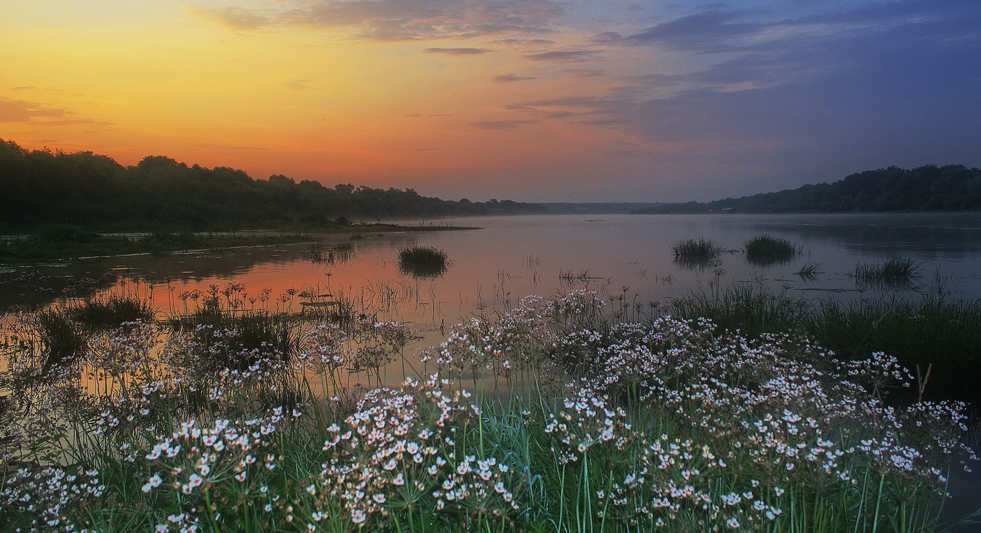 Окское утро