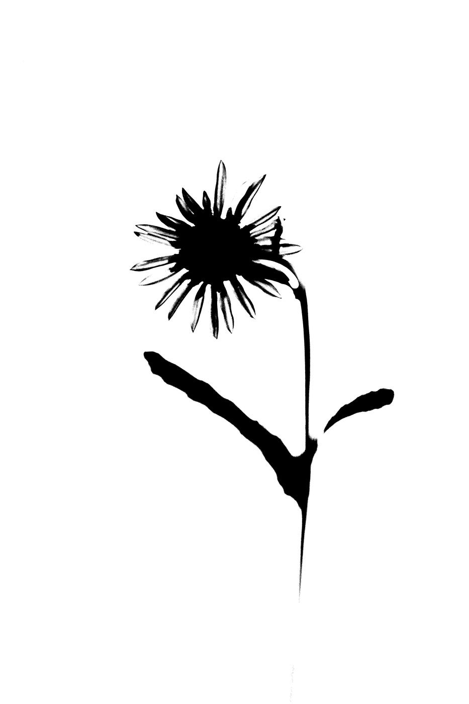 Жизнь вокруг