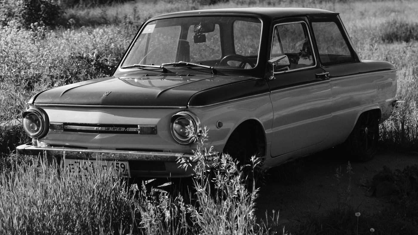 Запорожец из Ромашково...