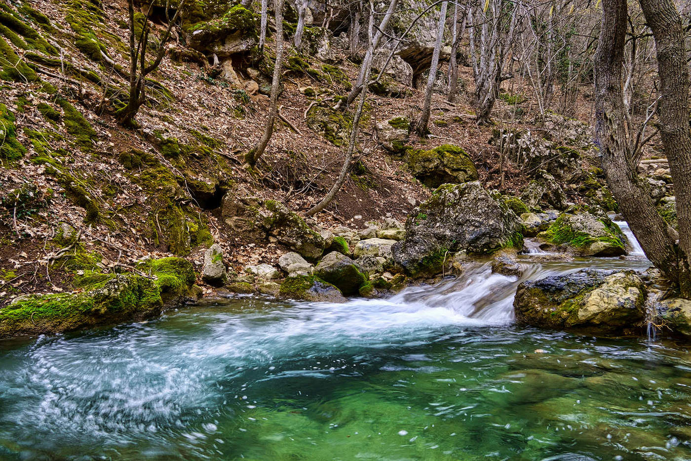 Февраль в Кизилкобинском ущелье