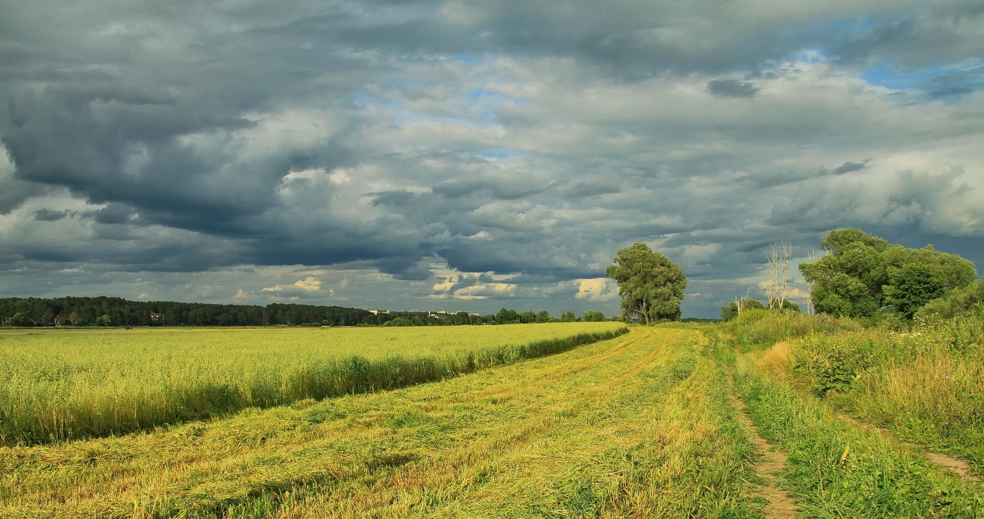 В раздольях пригорода