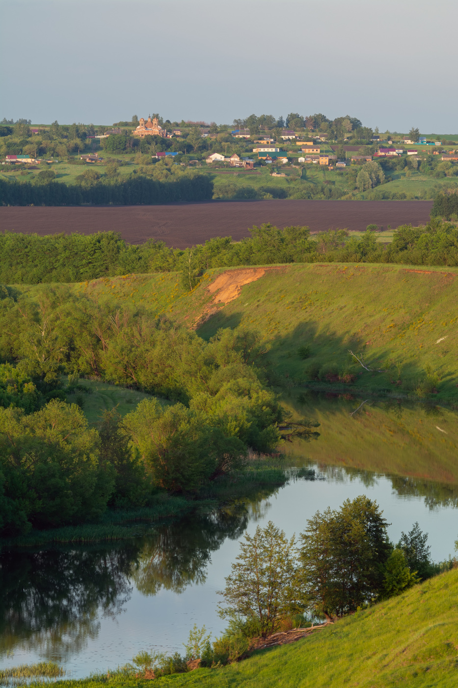 вечерняя идиллия