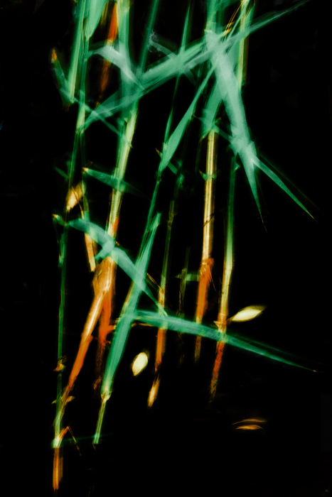 Трава на реке